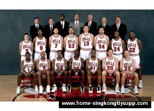 NBA王朝：巅峰荣耀与永恒遗产