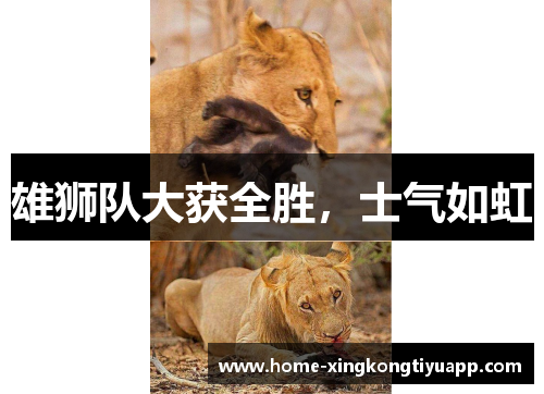 雄狮队大获全胜，士气如虹
