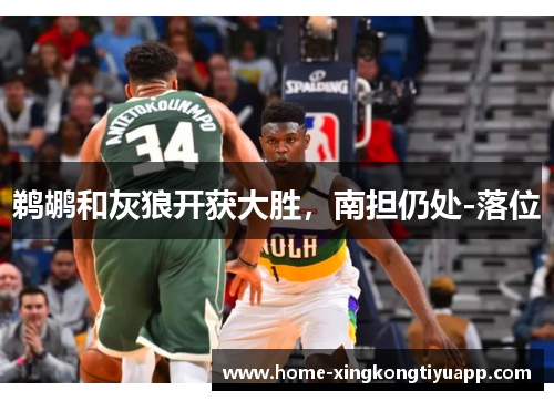 鹈鹕和灰狼开获大胜，南担仍处-落位